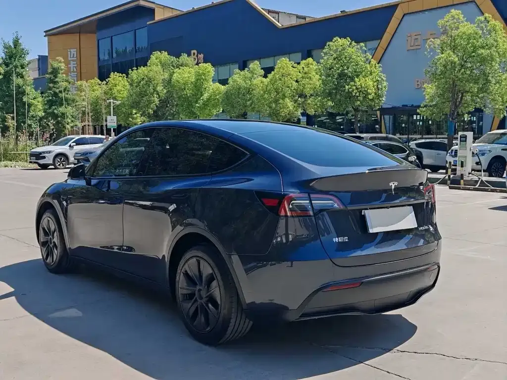 Tesla Model Y — фото 10