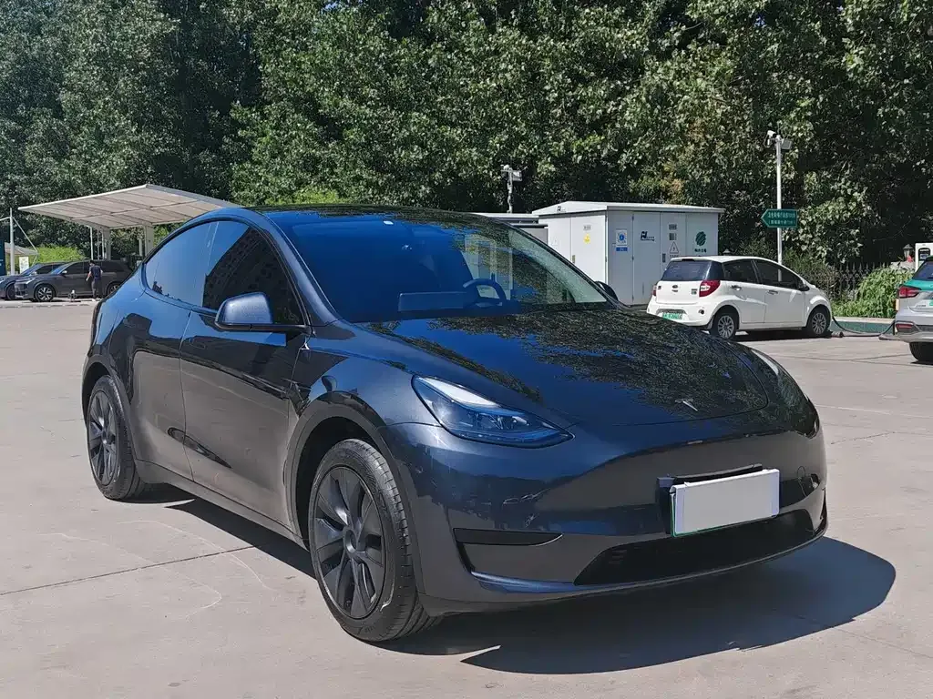 Tesla Model Y — фото 8