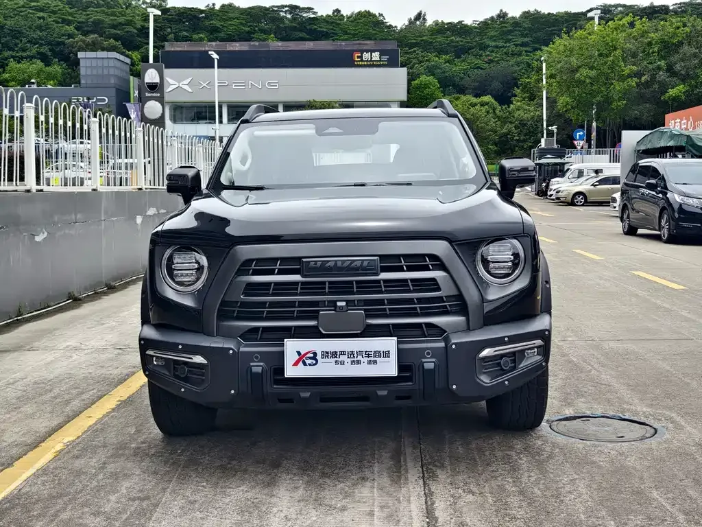 Haval Big Dog — фото 10
