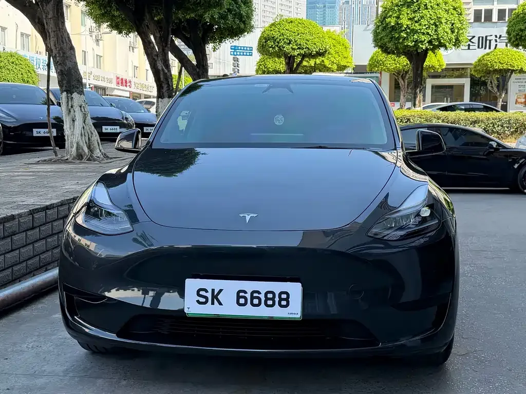 Tesla Model Y — фото 5