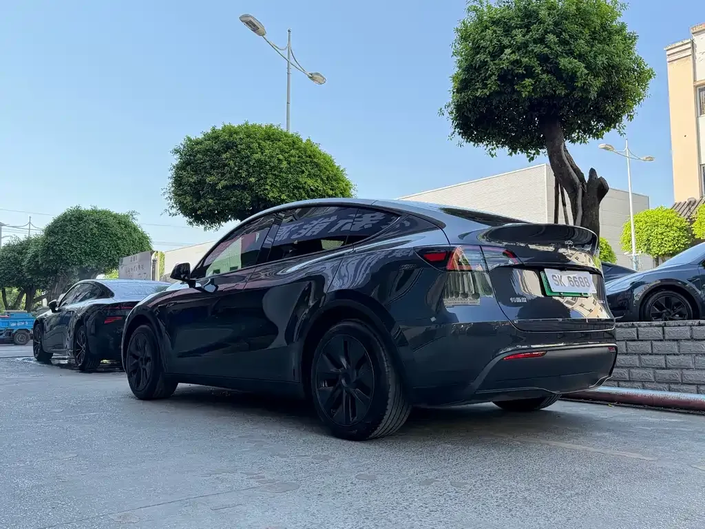 Tesla Model Y — фото 10