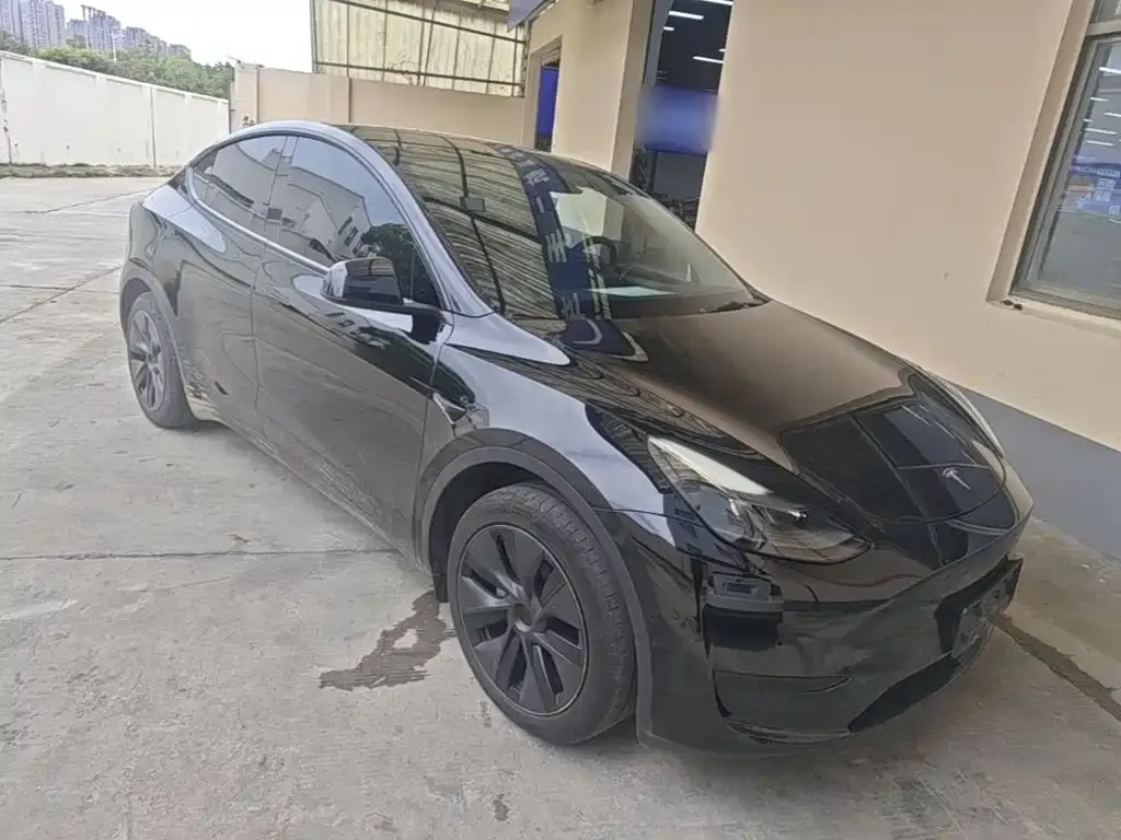 Tesla Model Y — фото 8