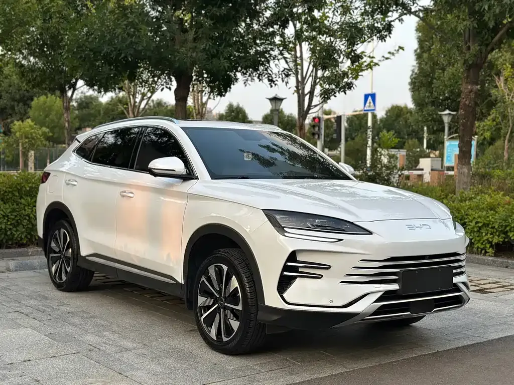BYD PLUS New Energy — фото 7