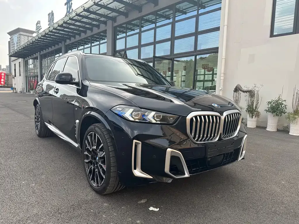 BMW X5 — фото 10