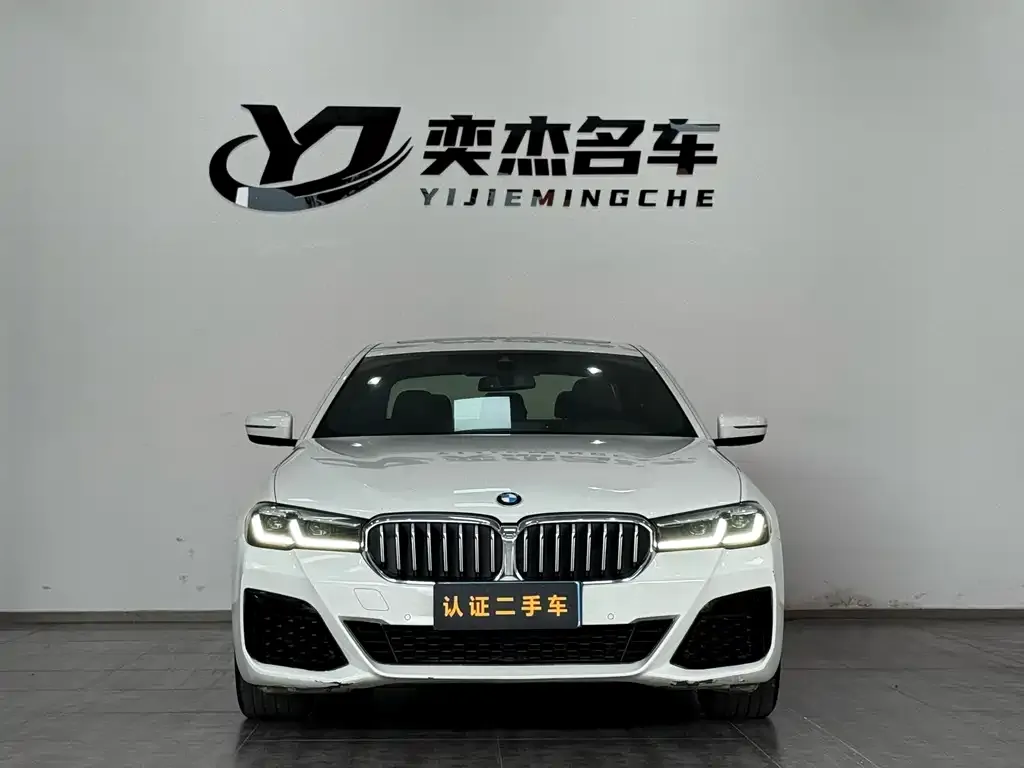BMW 5 Series (Import) 2021 из CN, фото 10
