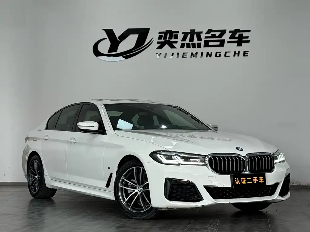 BMW 5 Series (Import) 2021 из CN, фото 4