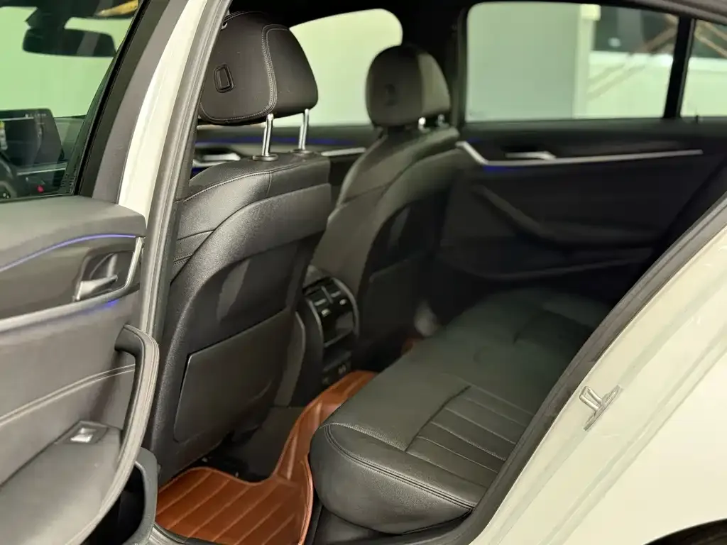 BMW 5 Series (Import) 2021 из CN, фото 5
