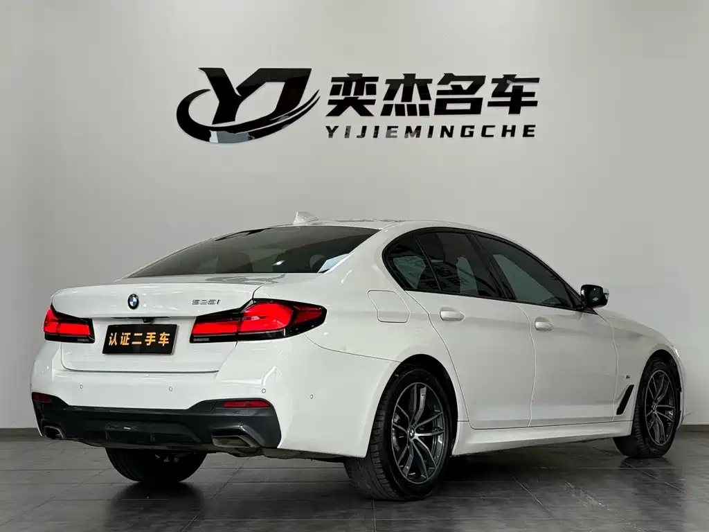 BMW 5 Series (Import) 2021 из CN, фото 6
