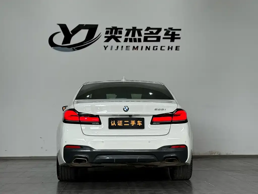 BMW 5 Series (Import) 2021 из CN, фото 2