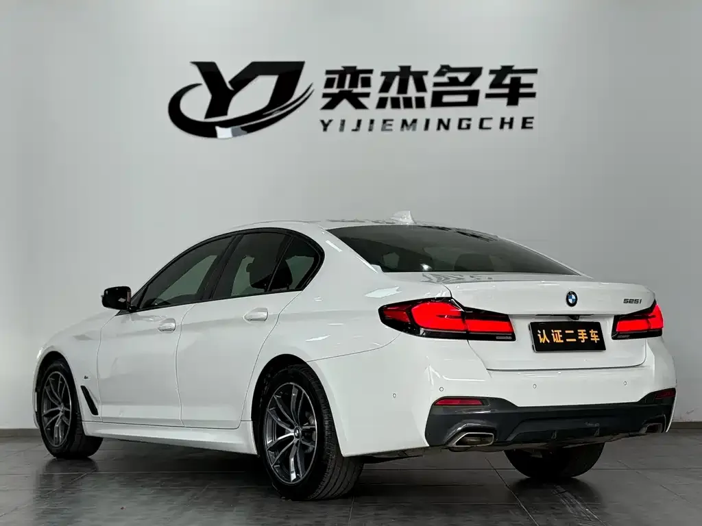 BMW 5 Series (Import) 2021 из CN, фото 3