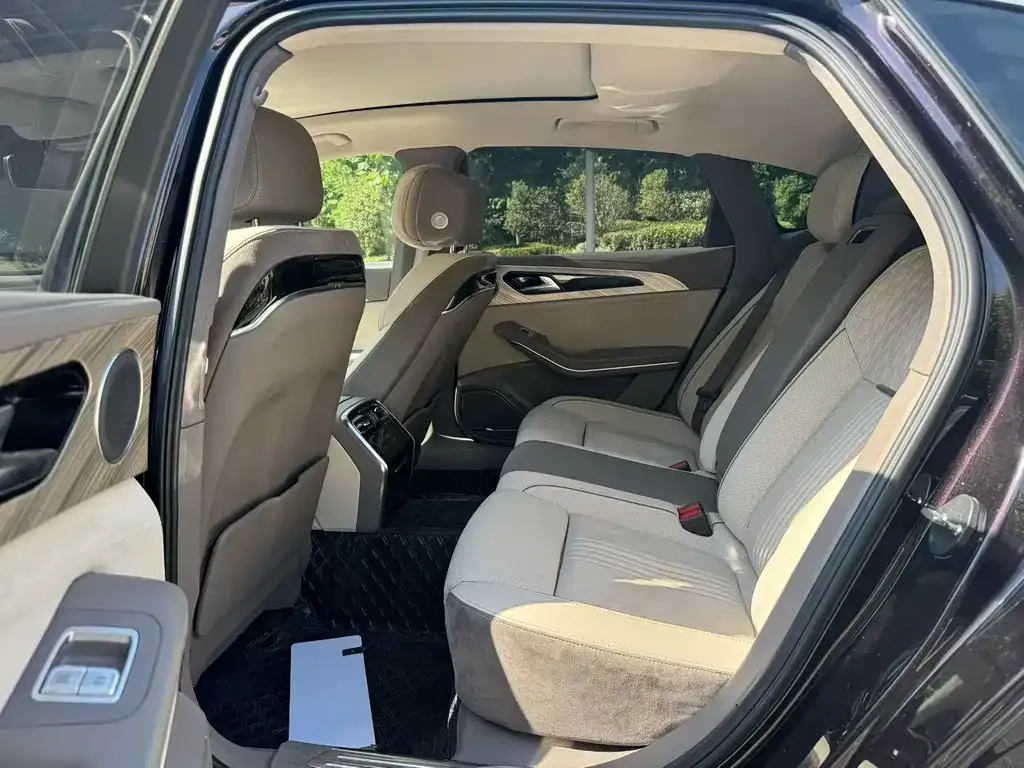 Hongqi H9 2021 из CN, фото 6