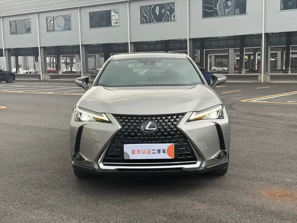 Lexus UX New Energy — фото 9