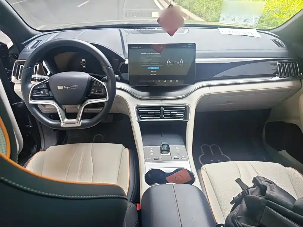 BYD PLUS New Energy 2024 из CN, фото 4