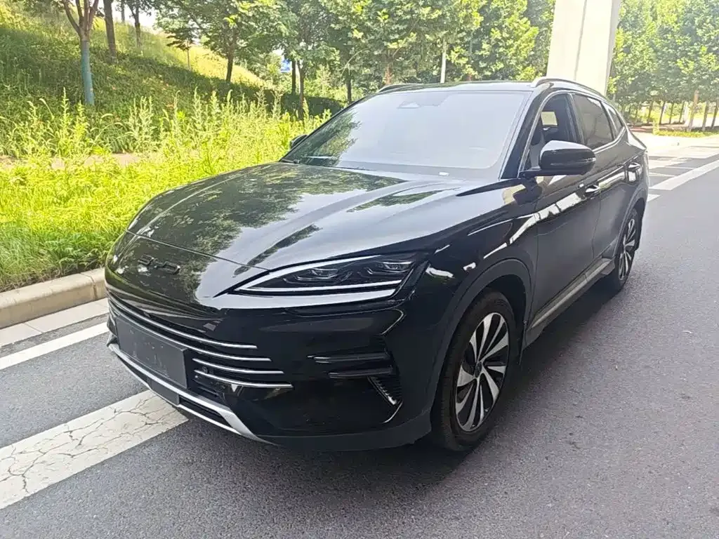 BYD PLUS New Energy 2024 из CN, фото 7