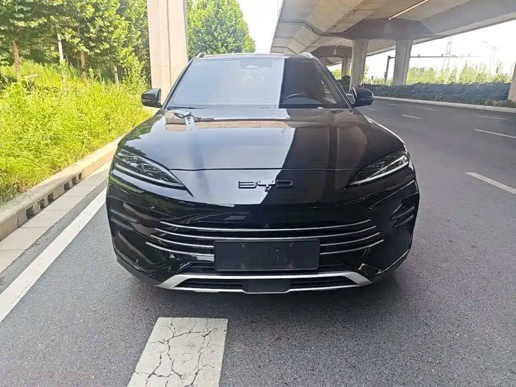 BYD PLUS New Energy 2024 из CN, фото 6