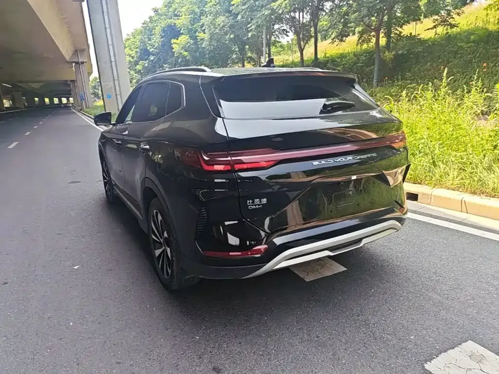 BYD PLUS New Energy 2024 из CN, фото 10