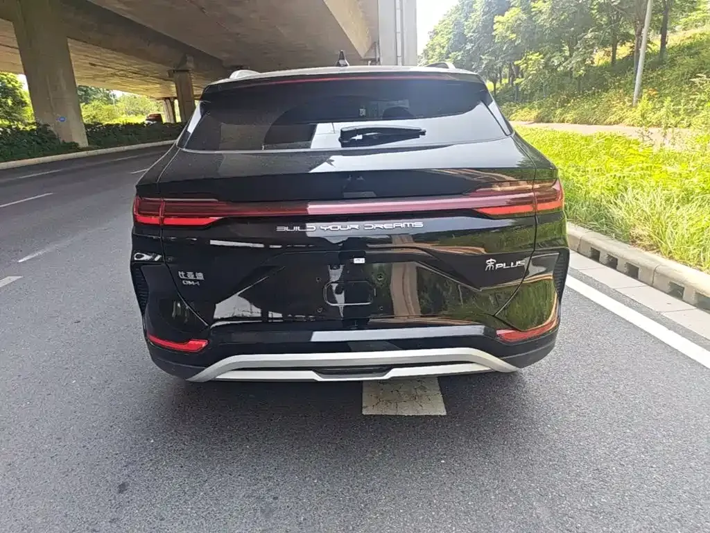 BYD PLUS New Energy 2024 из CN, фото 3