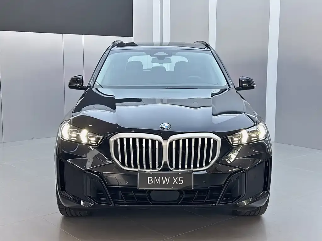 BMW X5 — фото 5