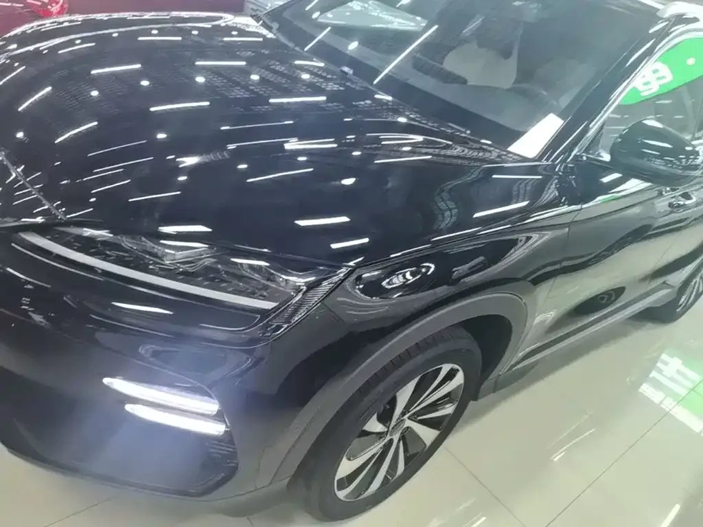 BYD PLUS New Energy — фото 10