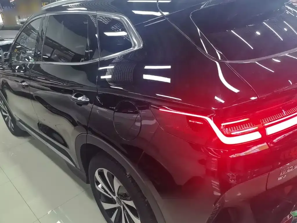 BYD PLUS New Energy — фото 4