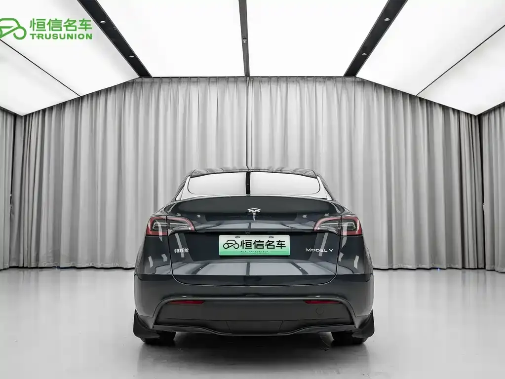 Tesla Model Y — фото 10