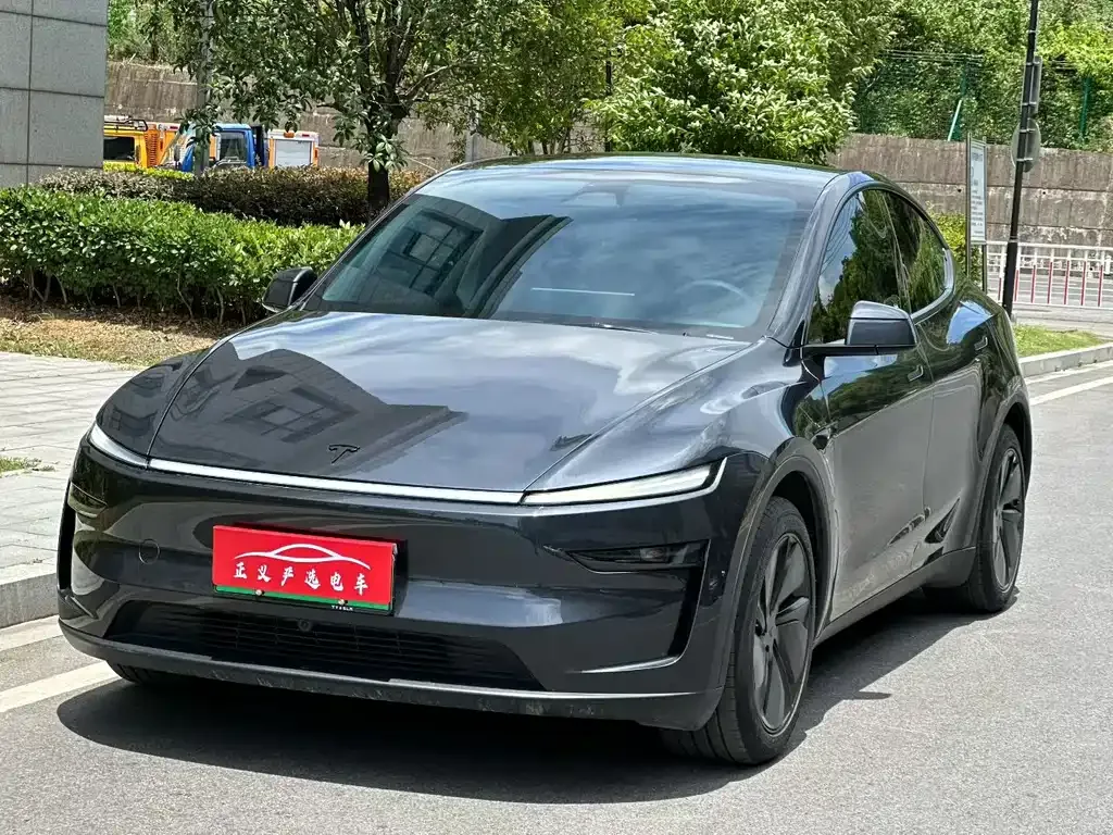 Tesla Model Y — фото 8