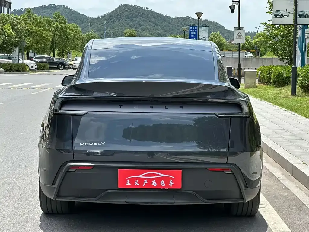 Tesla Model Y — фото 6