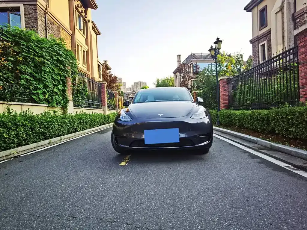 Tesla Model Y — фото 9