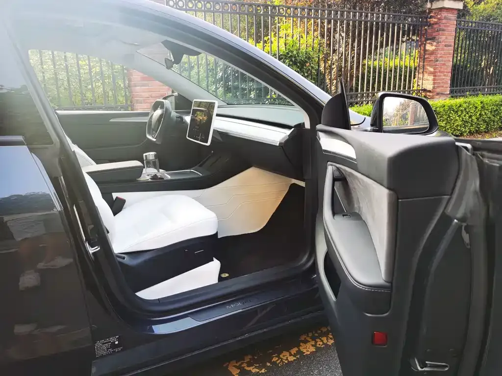 Tesla Model Y — фото 6