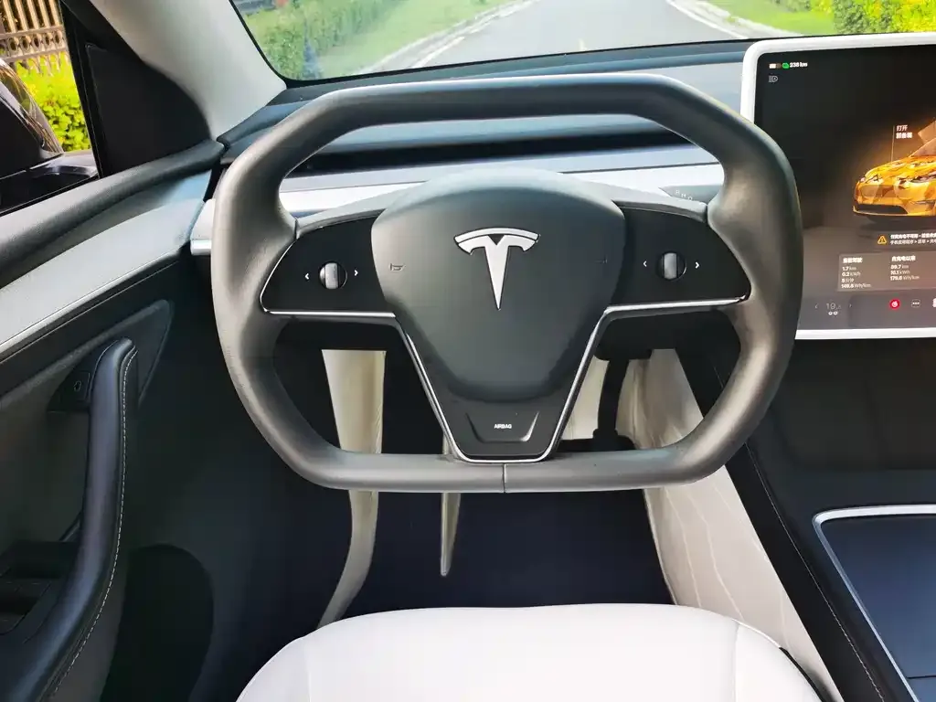 Tesla Model Y — фото 5