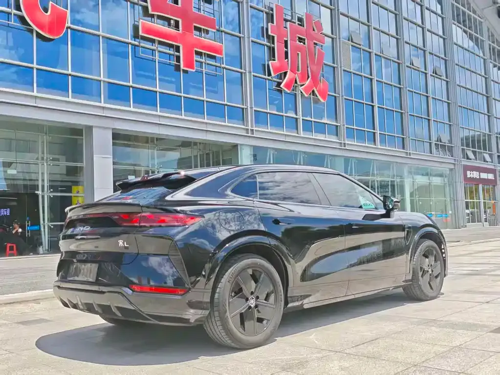 BYD L EV — фото 9