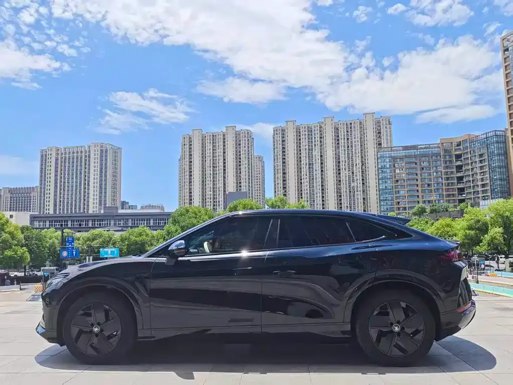 BYD L EV — фото 2