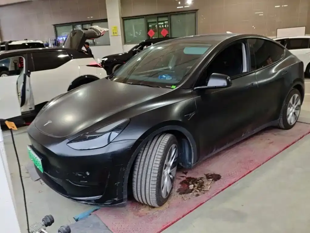Tesla Model Y — фото 1