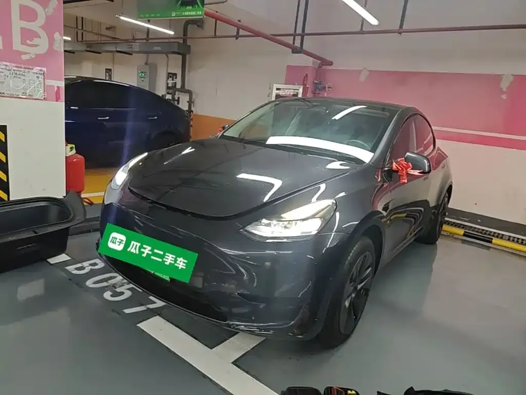 Tesla Model Y — фото 9