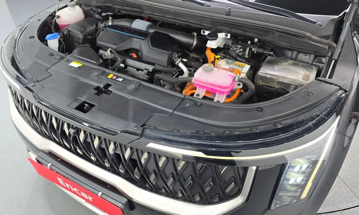Kia Carnival — фото 10