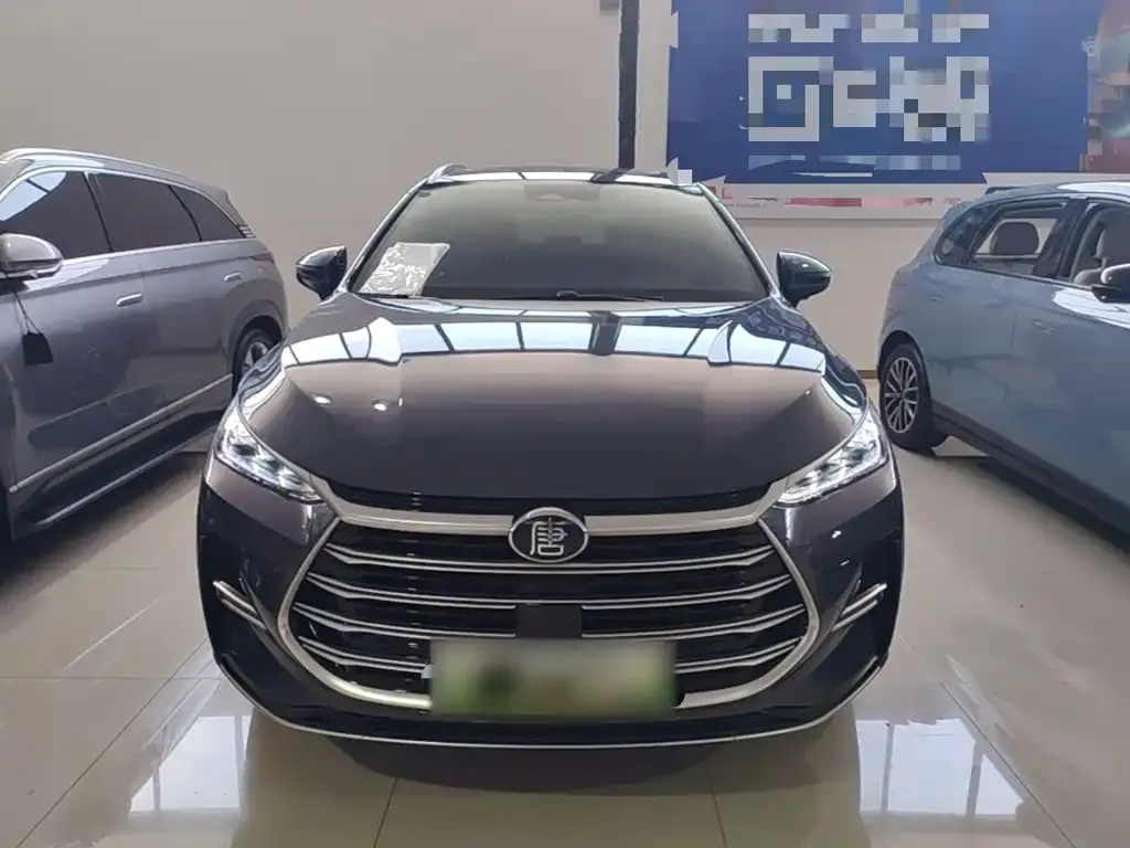 BYD Tang New Energy — фото 10