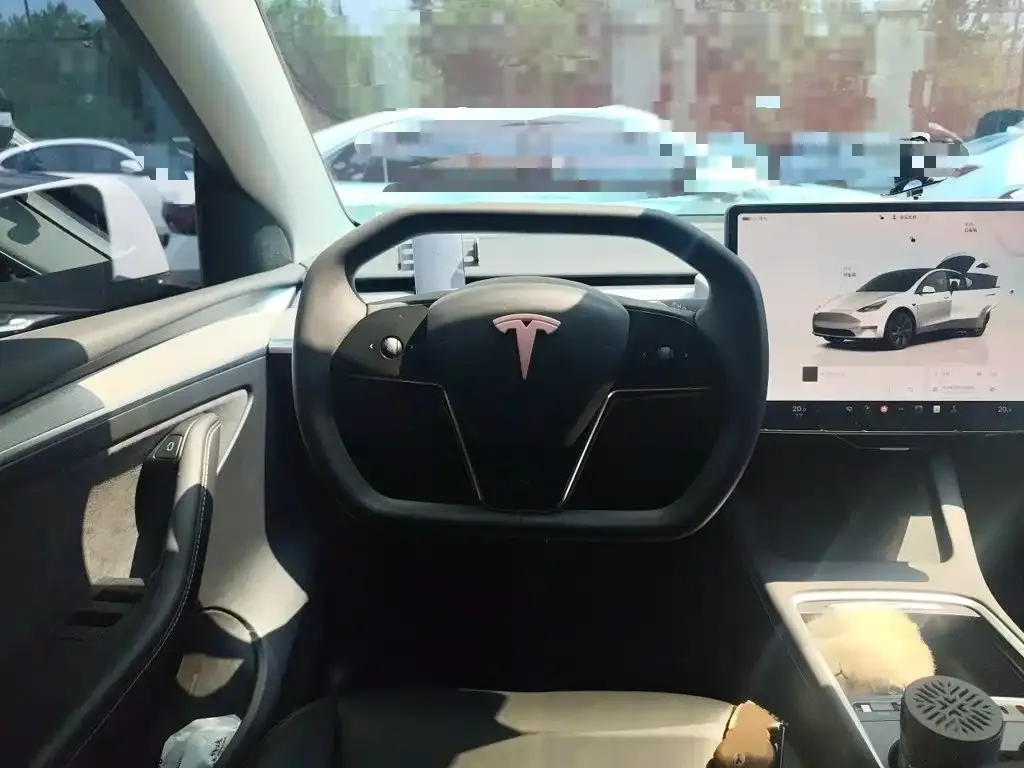 Tesla Model Y — фото 10