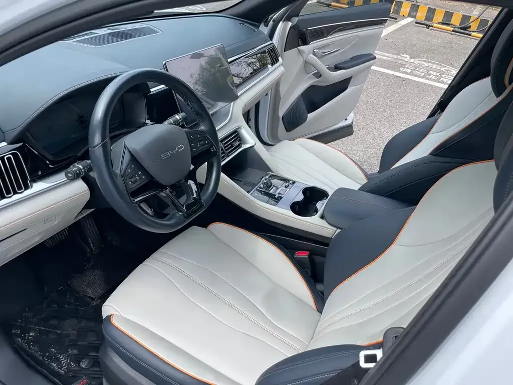 BYD PLUS New Energy 2024 из CN, фото 4