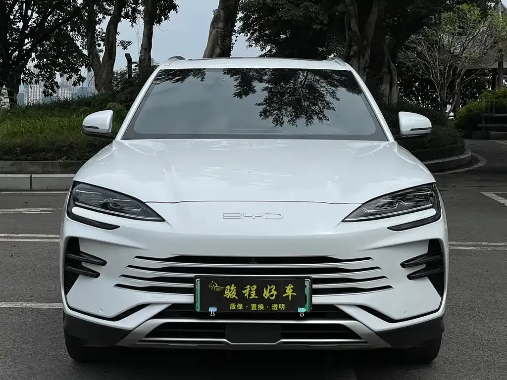BYD PLUS New Energy 2024 из CN, фото 5