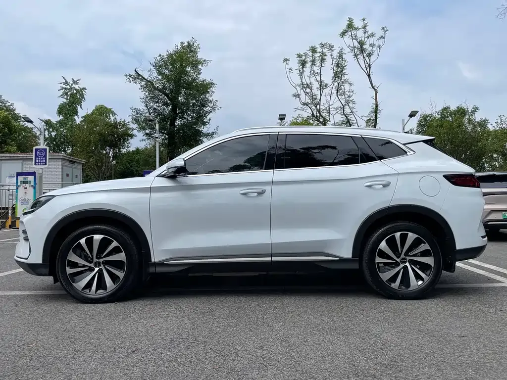 BYD PLUS New Energy 2024 из CN, фото 6