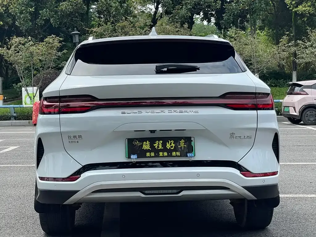 BYD PLUS New Energy 2024 из CN, фото 8
