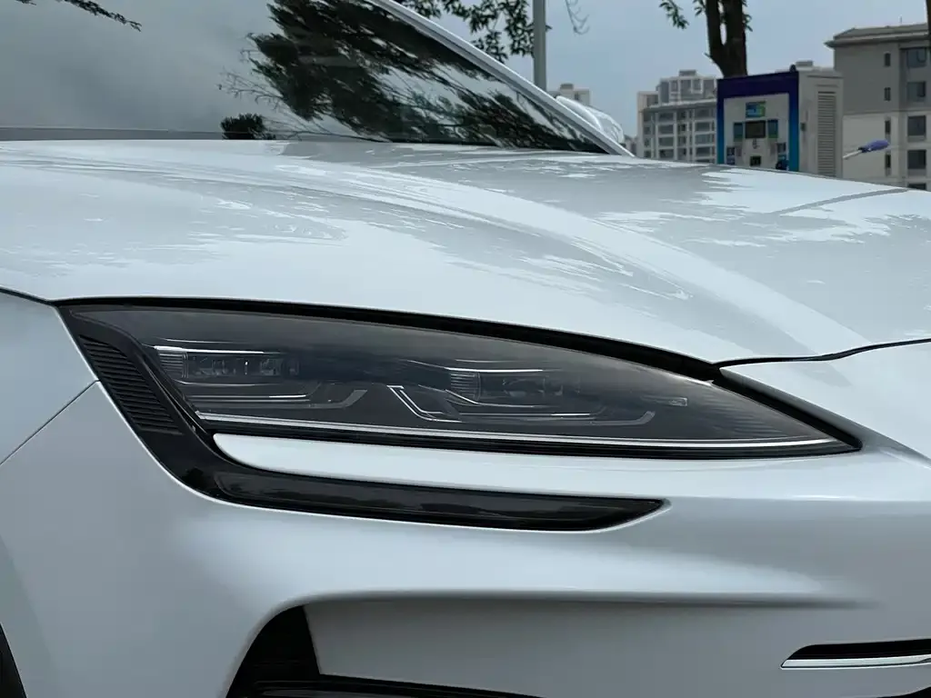 BYD PLUS New Energy 2024 из CN, фото 2