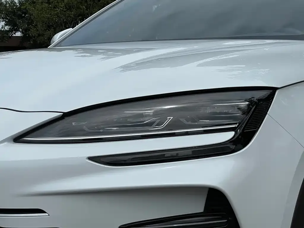 BYD PLUS New Energy 2024 из CN, фото 3