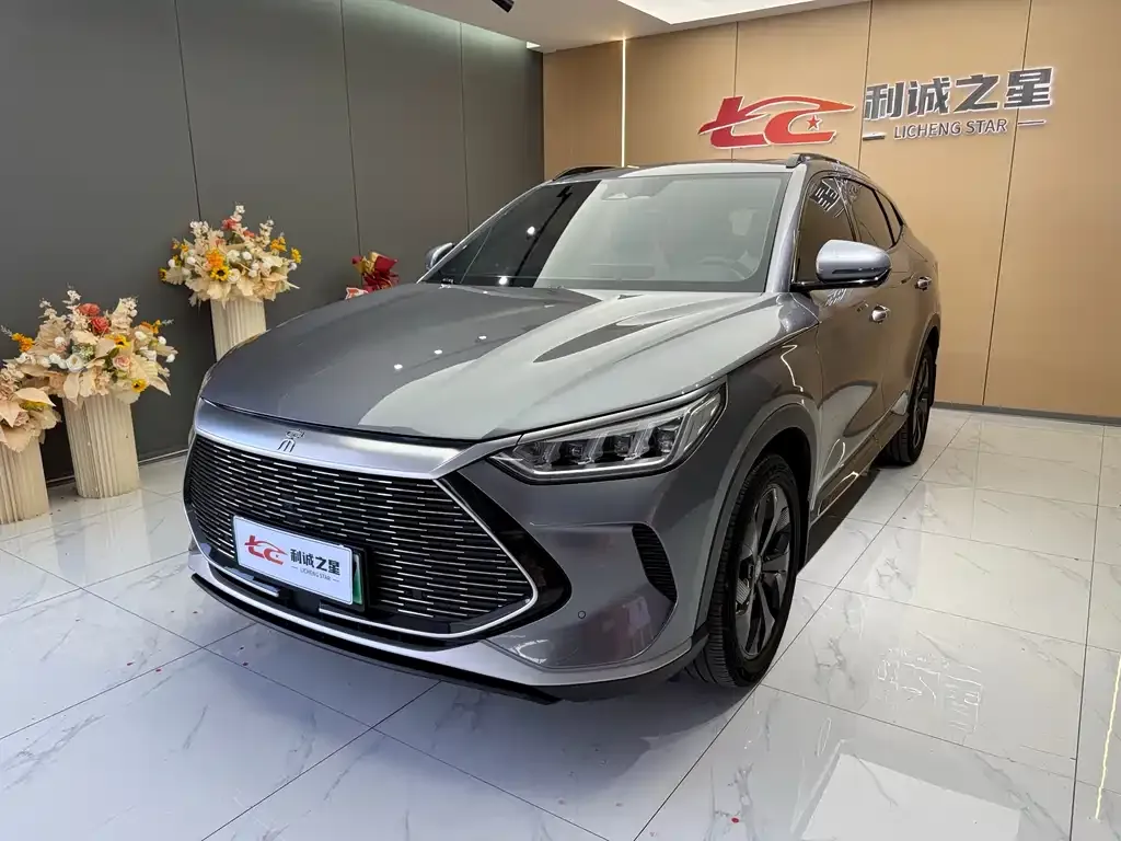 BYD PLUS New Energy — фото 1
