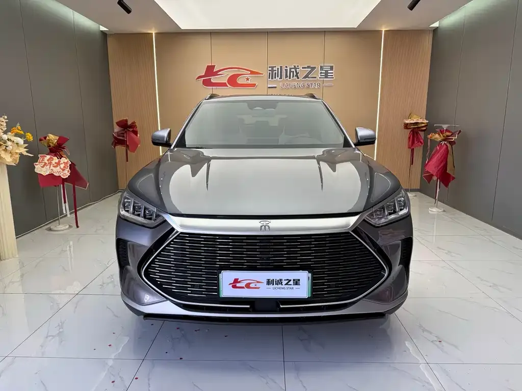 BYD PLUS New Energy — фото 4
