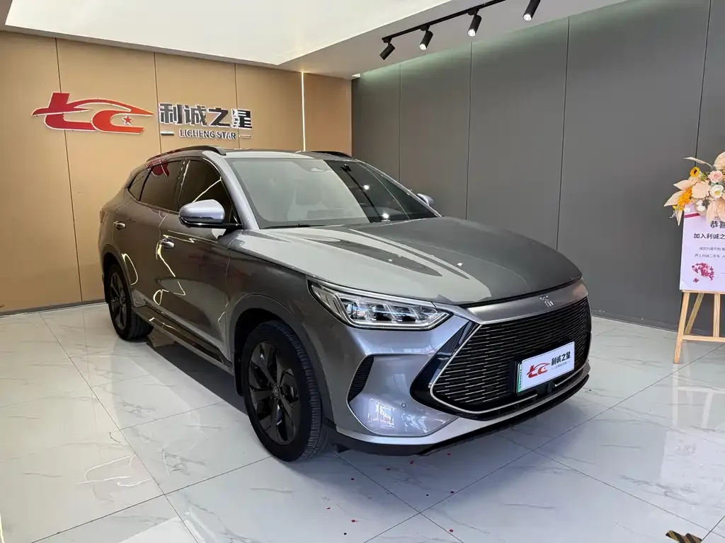 BYD PLUS New Energy — фото 3