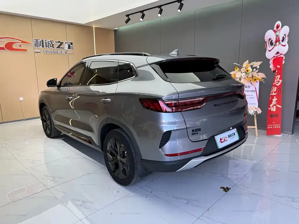BYD PLUS New Energy — фото 7
