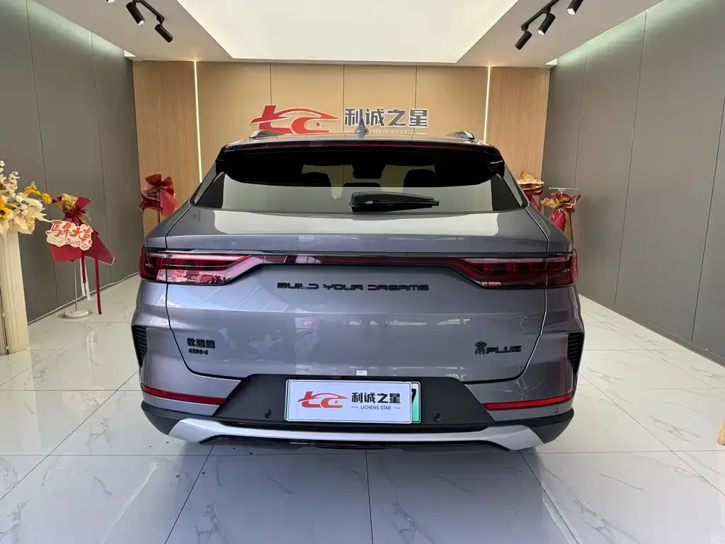 BYD PLUS New Energy — фото 2