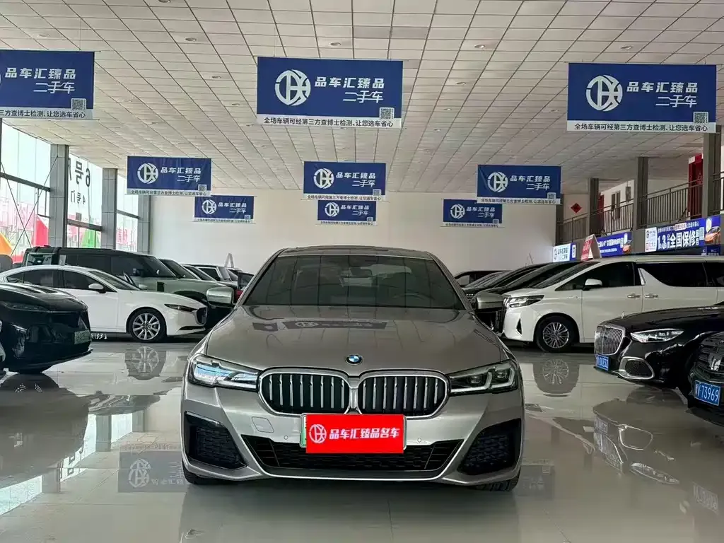 BMW 5 Series New Energy 2021 из CN, фото 8