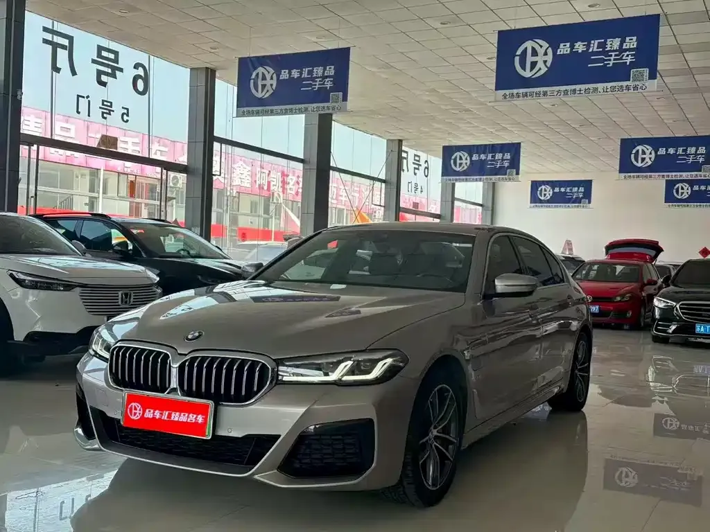 BMW 5 Series New Energy 2021 из CN, фото 9